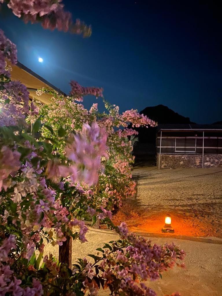 Moon Night Camp Hotel Wadi Rum Luaran gambar